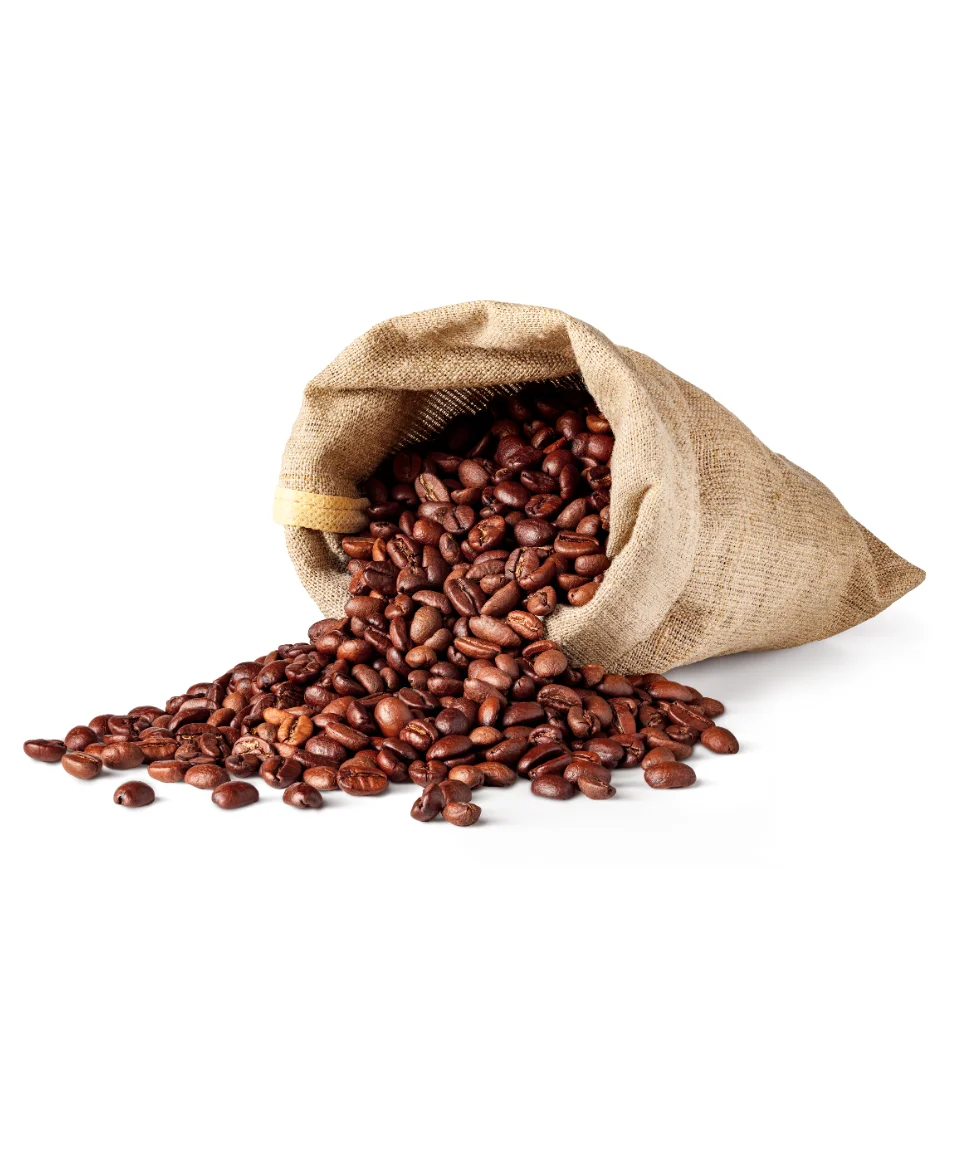 Grains de café arabica de Guinée